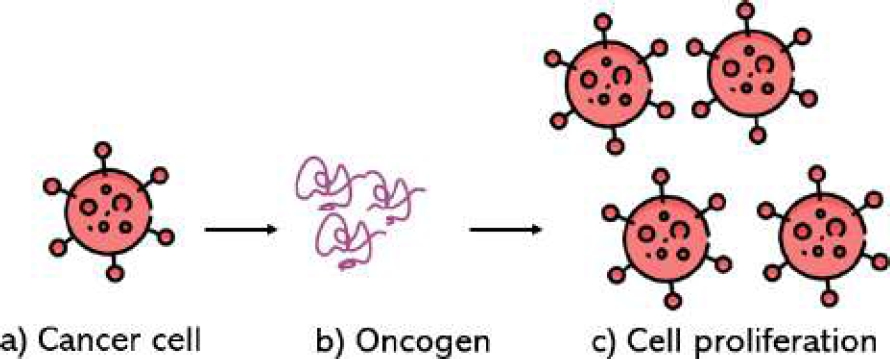 O Cancer Impact of Altered Oxygen Level on the Growth Dynamics of Hanging Tumor