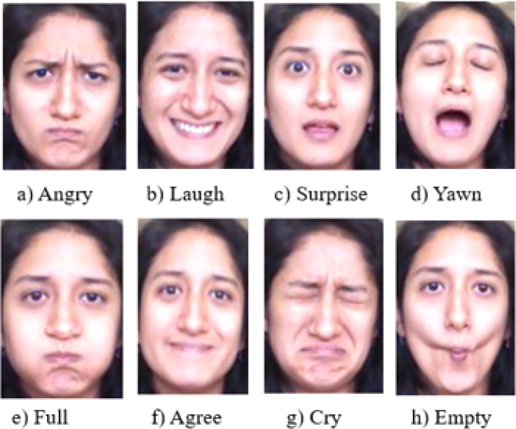Facial Expressions Recognition in Sign Language Based on a Two-Stream ...
