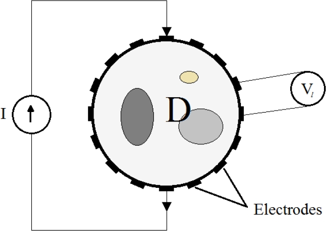Computing of the Forward and Inverse Solutions of Electrical Impedance ...