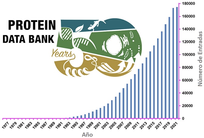 De la Mioglobina al SARS-CoV-2: ¡50 años del Protein Data Bank!