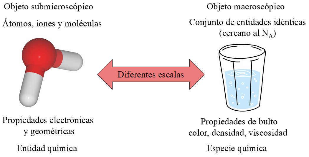 
							Entidades y especies, una diferencia de escalas crucial para
								comprender qué se nombra y por qué.
						