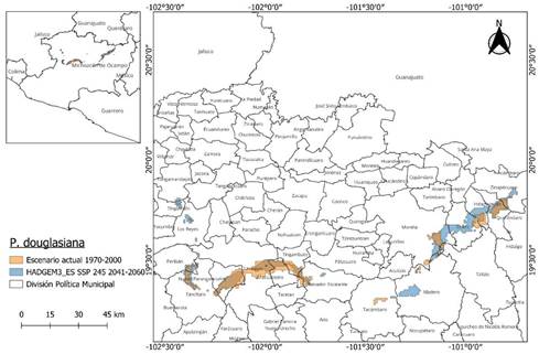 
							Hábitat climático actual y futuro de P. douglasiana en Michoacán.
						