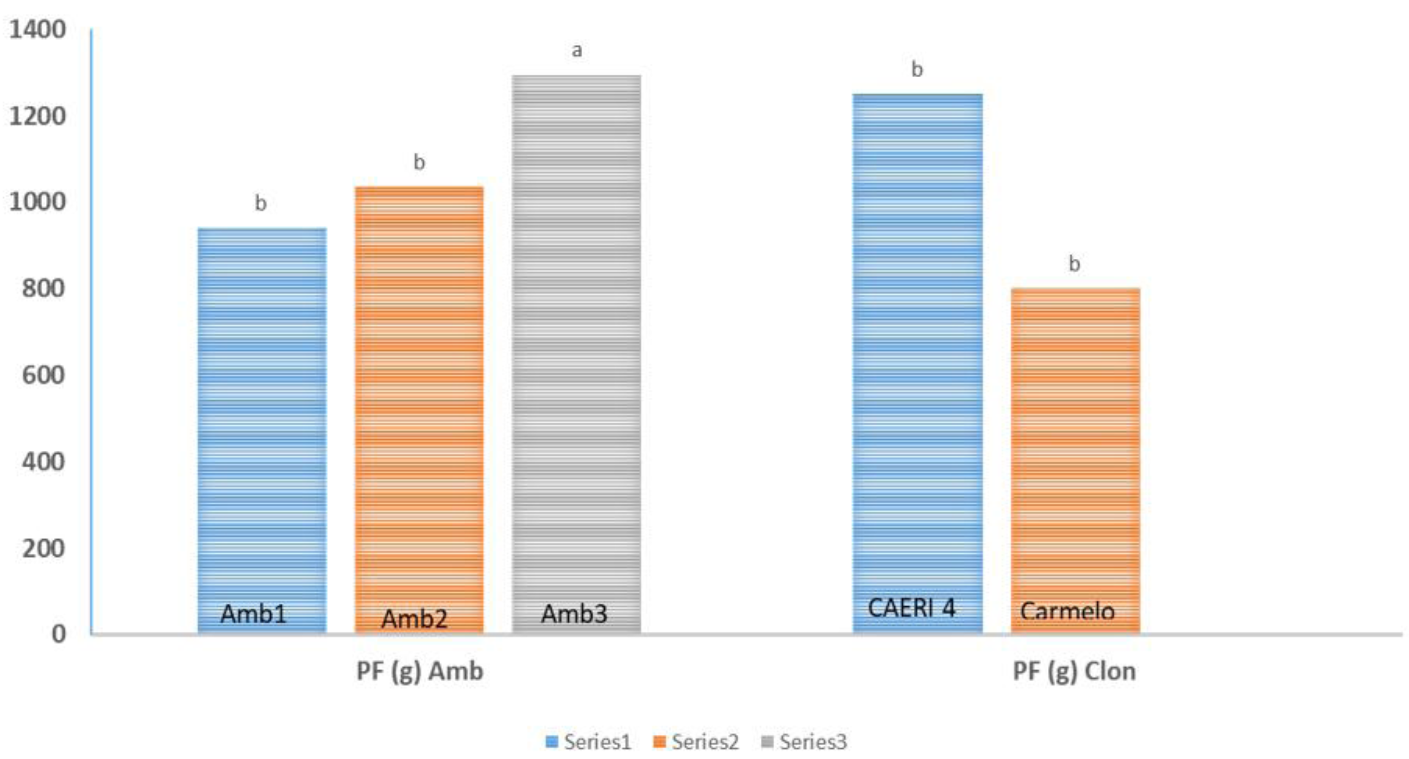 CAERI 4, nueva variedad de cacao para las áreas cacaoteras de México
