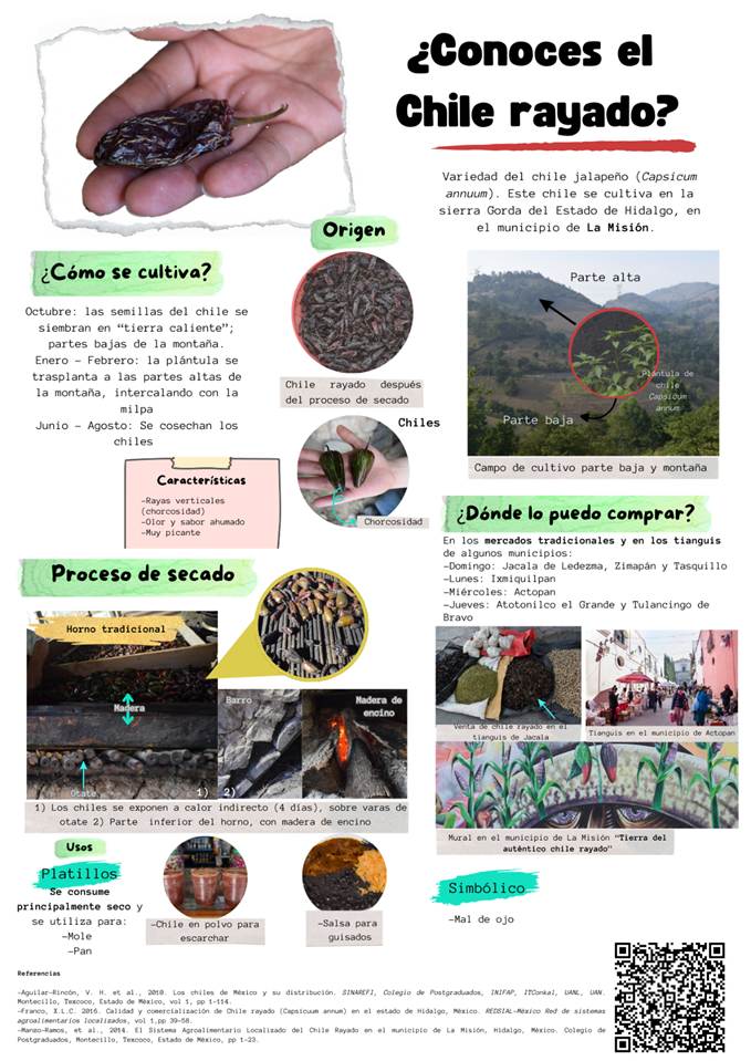 Chile Rallado Perspectiva de un producto local: el caso del chile rayado en Hidalgo ...