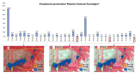 
								Precipitaciones diarias y área inundada por el evento de octubre de 1995 en Proterritorio
							