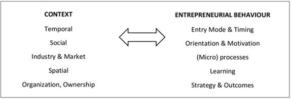The Dark Side of Entrepreneurship: An Exploratory Conceptual Approach