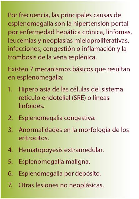 Hepatoesplenomegalia masiva en un paciente con enfermedad de