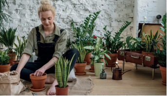 
						Foto: Cottonbro Studio en Pexels
					