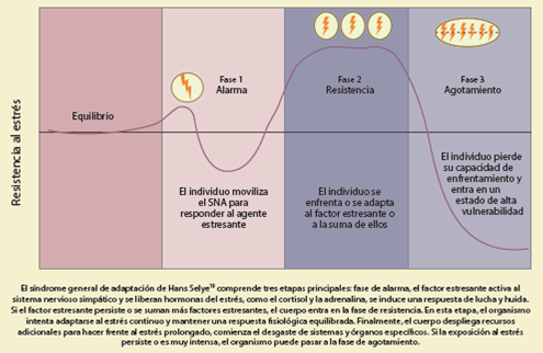 
							Síndrome general de adaptación
						