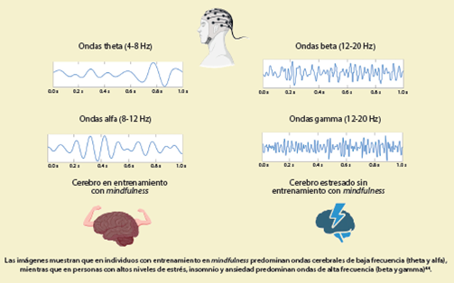 
						Prevalencia de ondas cerebrales
					