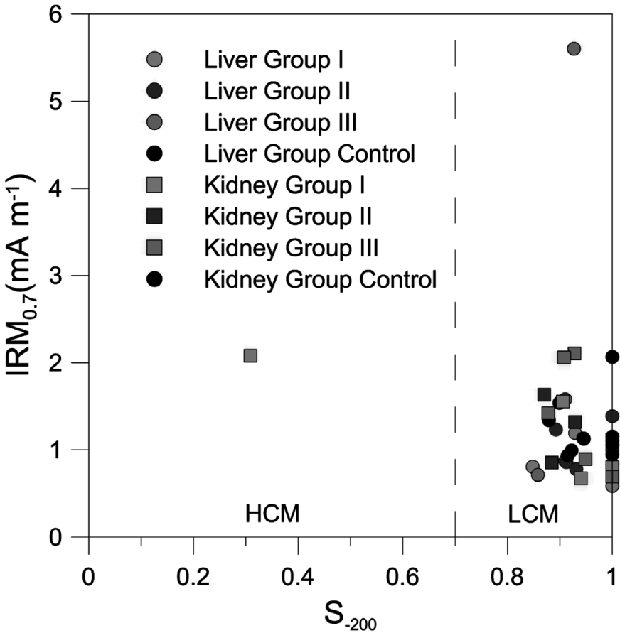 Evidence of small ferrimagnetic concentrations in mice (Mus musculus ...