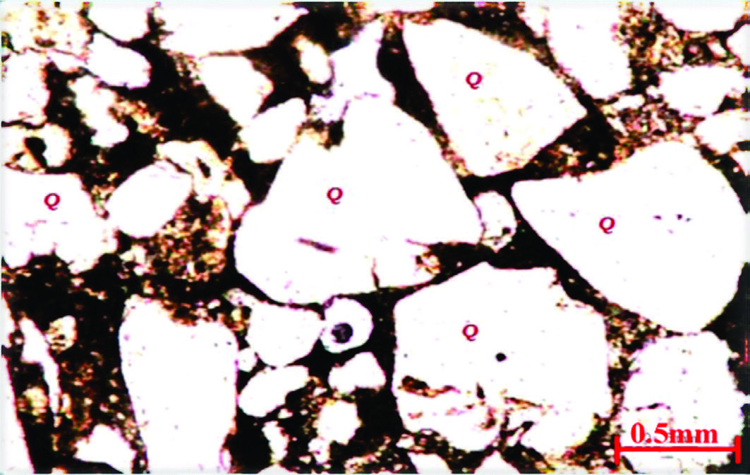 Angular Vs Subangular Petrographic and geochemical evidence for determining the provenance of ...