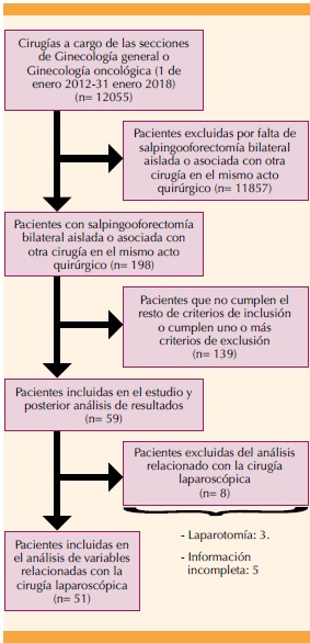 Definición de salpingooforectomía bilateral - Diccionario de