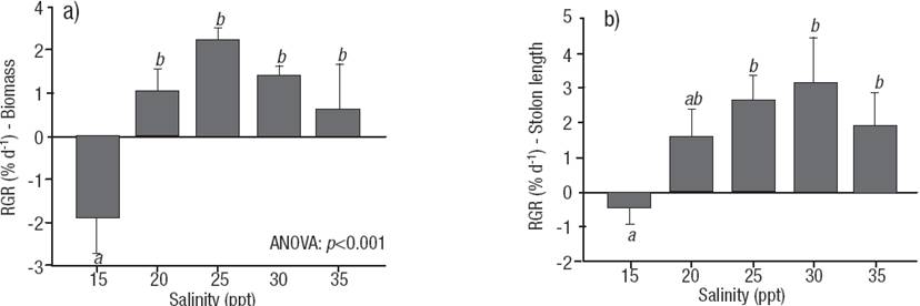 Effect of salinity on growth of the green alga Caulerpa sertularioides ...
