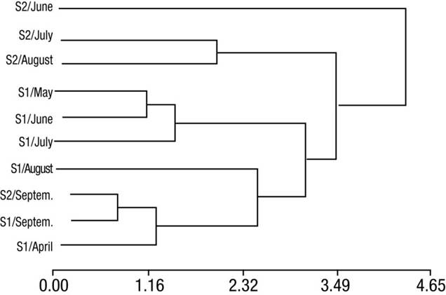 Dynamics of the phytoplankton community of an Argentine Pampean wetland ...