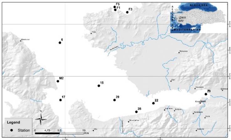 
						Map of the sampling stations in Izmir Bay, Aegean Sea, in November 2023.
					
