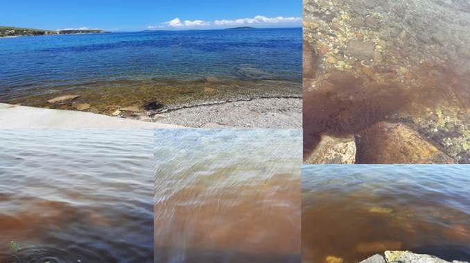 
						Different views of the Polykrikos hartmannii bloom in Izmir Bay, Aegean Sea, Eastern Mediterranean, in November 2023.
					