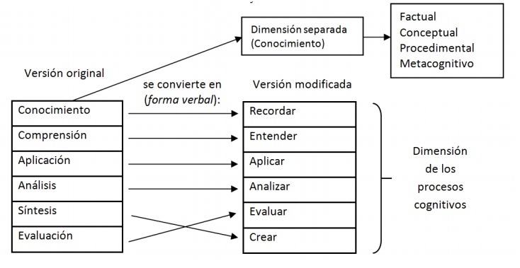 Definiciones proceso cognitivo