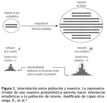 C lculo Del Tama o De La Muestra En Investigaci n En Educaci n M dica