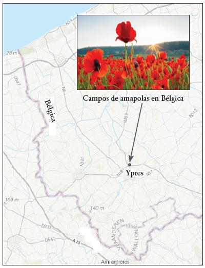 Aunque florezcan las amapolas en los campos de Flandes