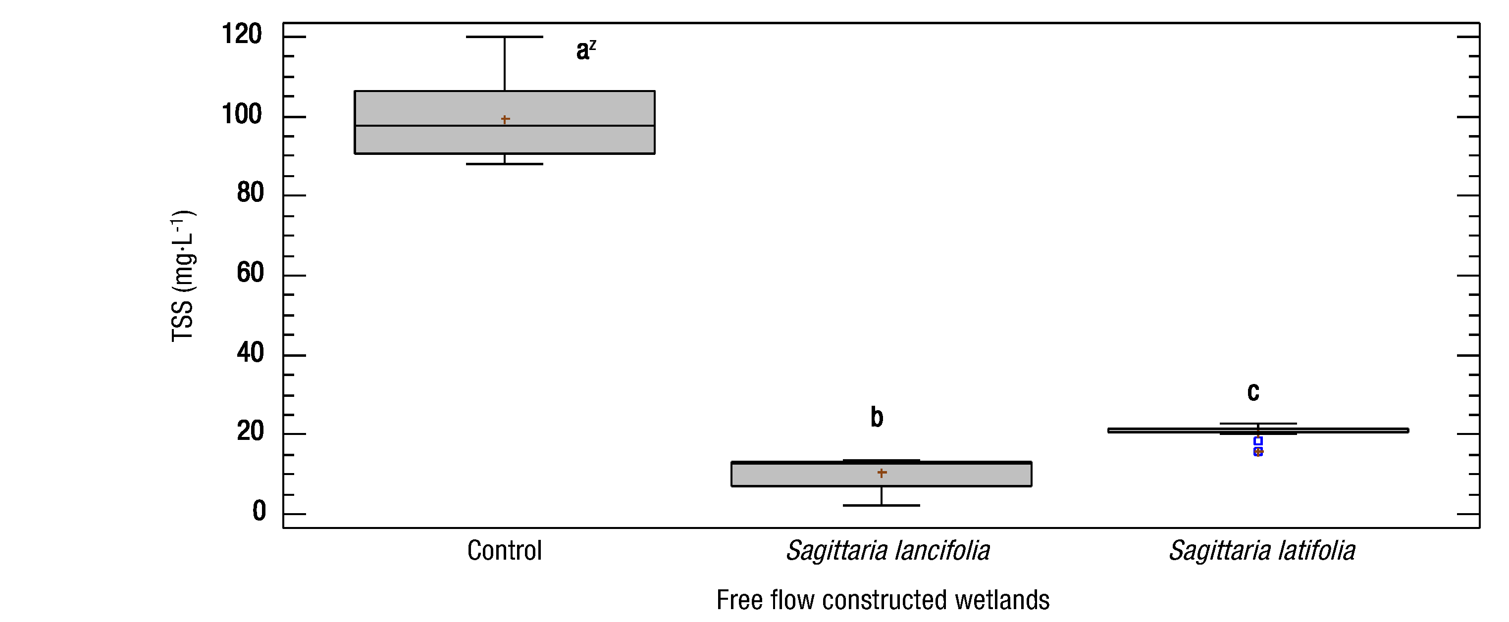 Evaluation Of Free Flow Constructed Wetlands With Sagittaria Latifolia