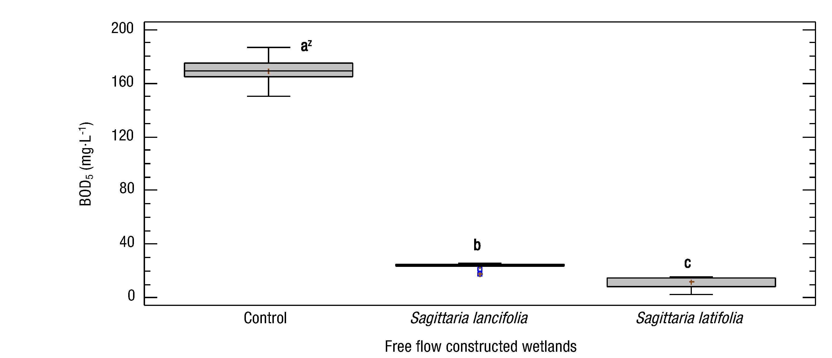 Evaluation Of Free Flow Constructed Wetlands With Sagittaria Latifolia