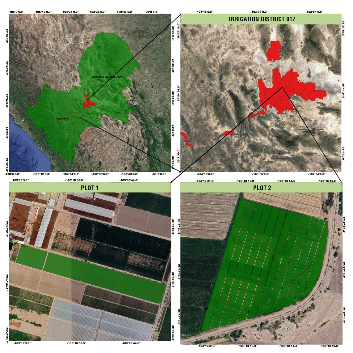 Estimating the crop coefficient of forage maize using remote sensing