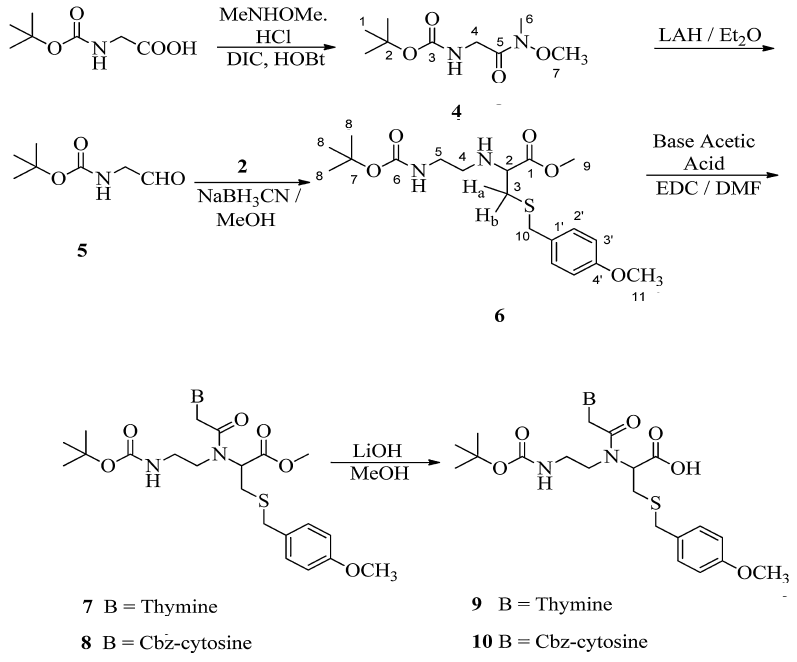 Synthesis and characterization of novel α-monomers of peptide nucleic acid