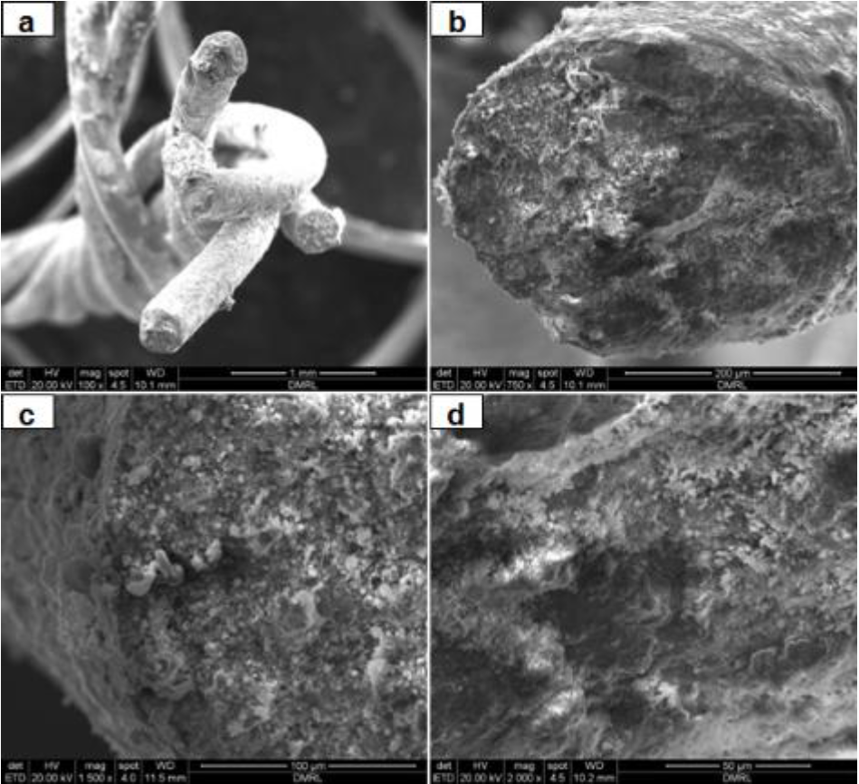 Failure analysis of stainless steel lanyard wire rope