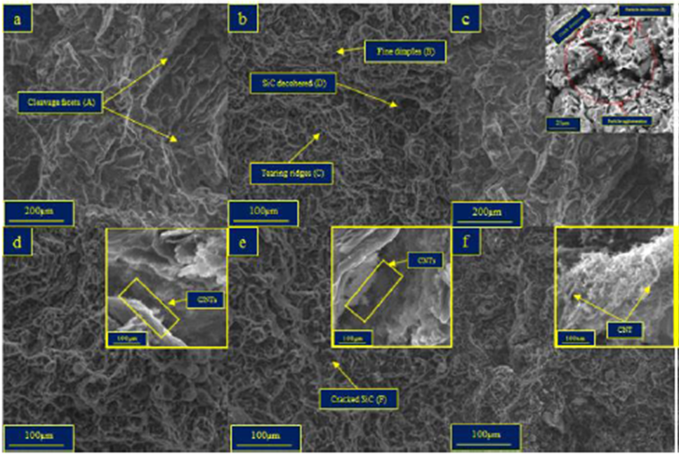 Microstructural characterization, mechanical and tribological ...