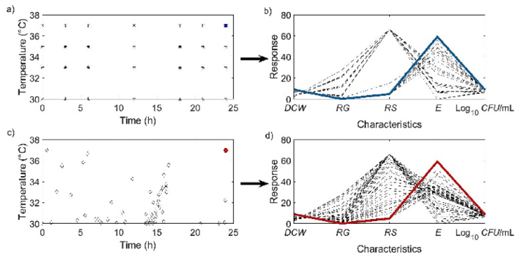Modeling the effect of temperature on ethanol fermentation using ...