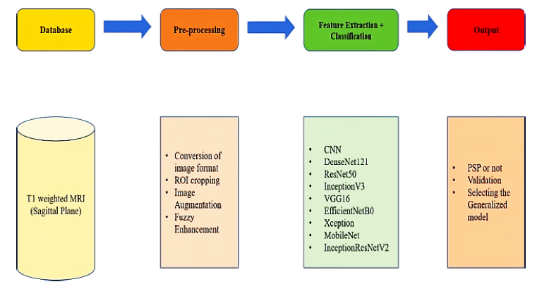
							Flowchart representing general workflow of the proposed system including databases, pre-processing tools, feature extraction, classifier algorithm and output.
						
