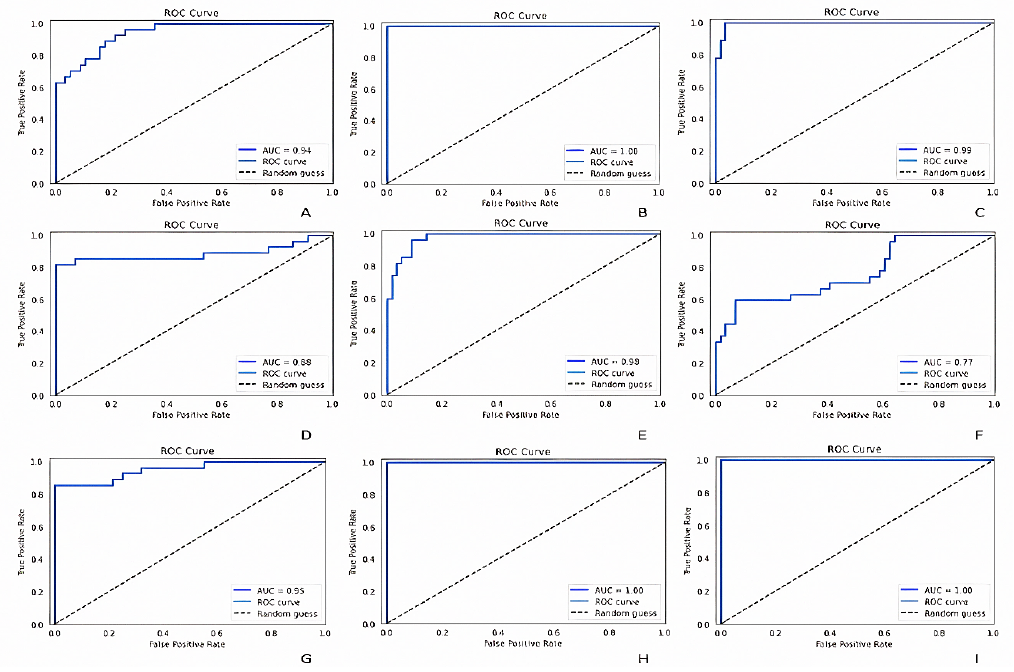 
							ROC (receiver operating characteristic) curves and their respective AUC (area under curve) values of; (A) custom CNN framework, (B) DenseNet121, (C) ResNet50, (D) InceptionV3, (E) VGG16, (F) EfficientNetB0, (G) Xception, (H) MobileNet and (I) InceptionResNetV2.
						
