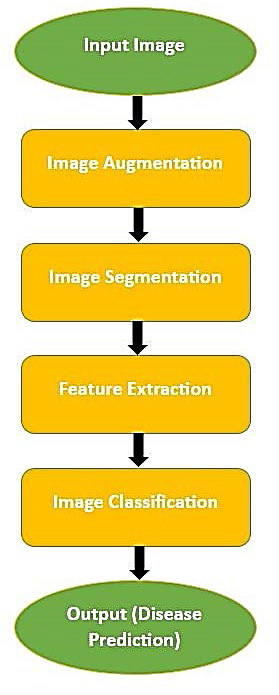 A comparative study of the deep learning-based image segmentation ...