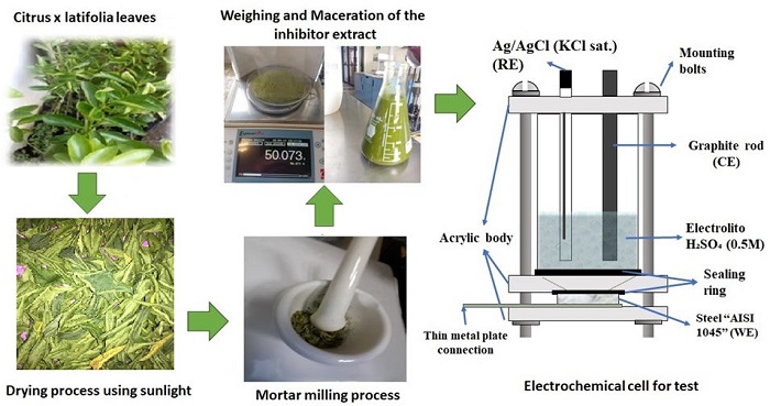 Leaf Liquid Extract of Citrus X-Latifolia for Corrosion Inhibition of ...