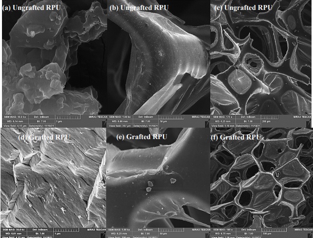 Synthesis of Functionalized Flexible and Rigid Polyurethane for Oil ...