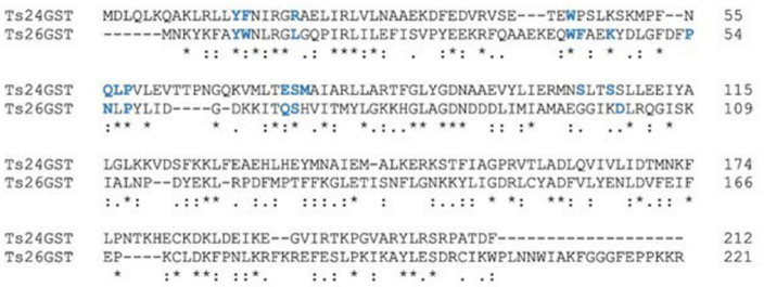 
						Amino acid sequence alignment of Ts24GST((( class) and Ts26GST ((/(
							class) classes. The alignment was performed with Clustal Omega [6]. Amino acid residues that contact
							the GSH molecule (3.5 Å or less away) are highlighted in blue (G
							site).
					