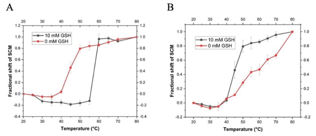 
							Thermal unfolding profiles of recombinant T.
									solium GSTs in the absence and presence of 10 mM GSH.
								Both enzymes (A) rTs26GST and (B) rTs24GST
								were used at 2.0 (g mL-1. Intrinsic fluorescence spectra
								were obtained at the different temperatures and their Spectral
								Center of Mass (SCM) were determined. Fractional shifts of the SCM
								were calculated at each temperature considering the maximum shift,
								observed at 80 (C, as the total change for each system.
						