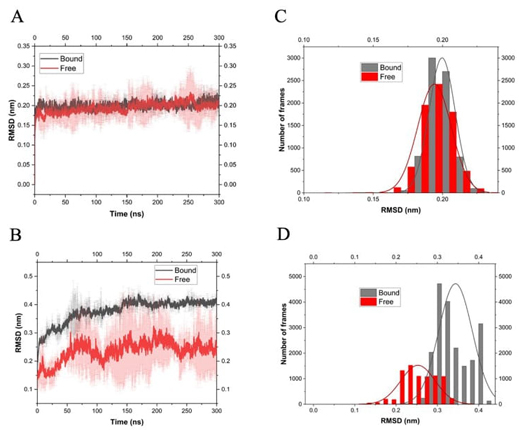 
							Root mean-square deviations (RMSD) of atomic position of
									C( in the trajectory of MD simulations performed
								using OPLS force field at 310 K. (A) Ts26GST in its
								free and bound state with GSH. (B) Ts24GST free and
								complexed with GSH. (C) and (D) show the
								histograms associated with (A) and (B),
								respectively.
						