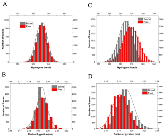 
							Histograms of intramolecular hydrogen bonds present during the
								trajectory of the MD simulations of the free and bound enzyme
									(A-B) shown in Fig.
									5. Histograms of the radius of gyration
									(C-D) for the same trajectories. (A and C) Ts26GST,
								(B and D) Ts24GST.
						
