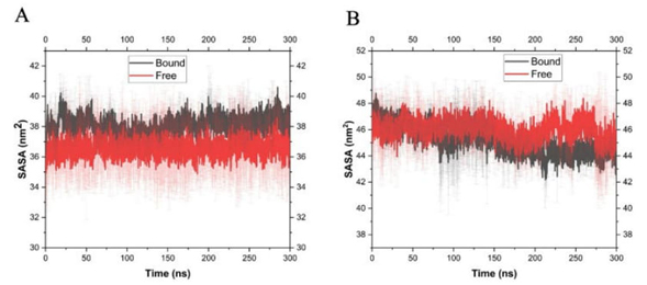 
							Variation of the solvent accessible surface area of the H sites
								of Ts26GST (A) and Ts24GST (B) during the
								MD simulations referenced in Fig.
									5.
						
