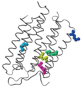 Metrogenic Information-Theoretic Concepts to Elucidate Local and Non-Local Aspects ...