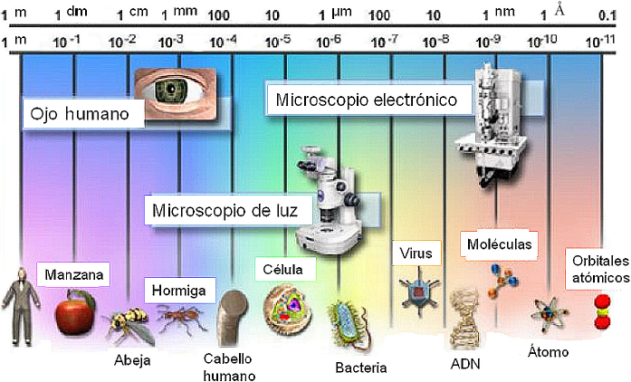 Breve reseña histórica de la microscopía electrónica en México y el mundo
