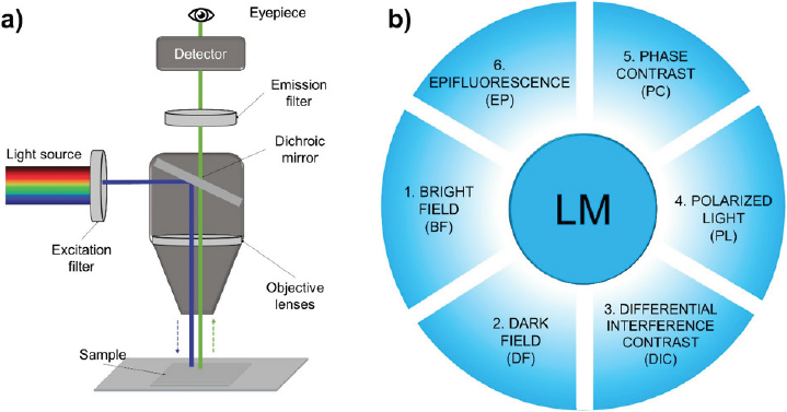 A review of advanced microscopy techniques for the development of ...