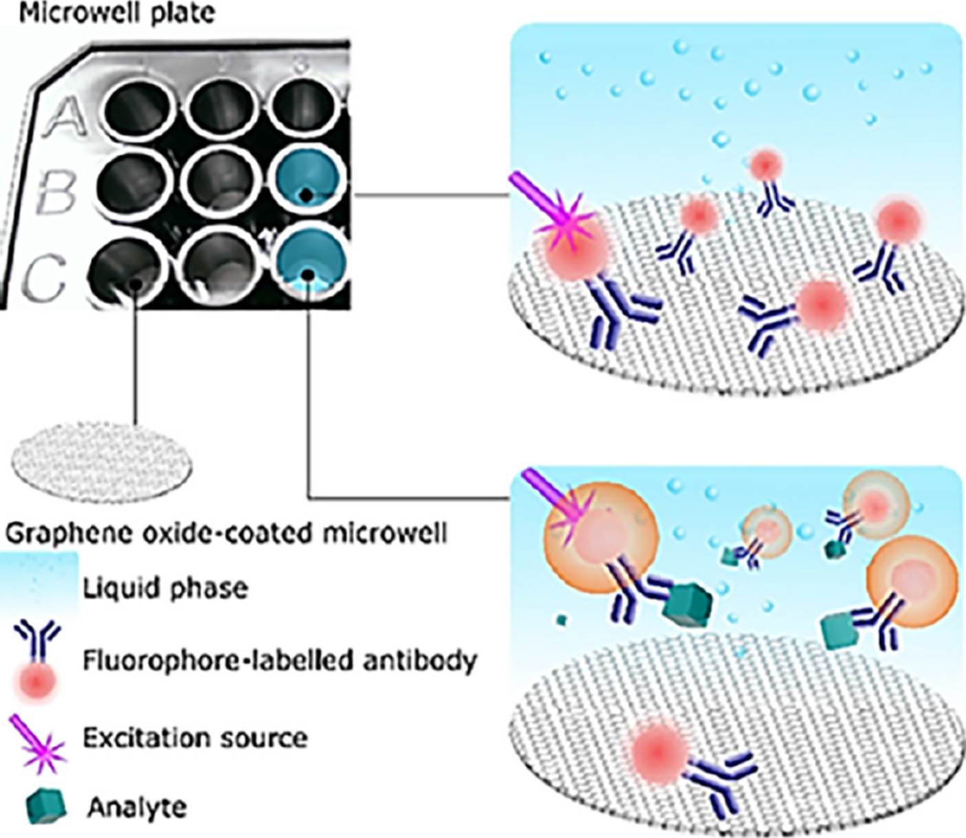 A biosensing platform based on graphene oxide and photoluminescent ...