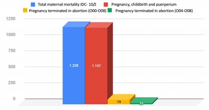 
							Maternal mortality due to abortion in 2009
						