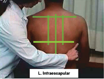 Exploración física toracopulmonar. Proyecto tutorial-interactivo