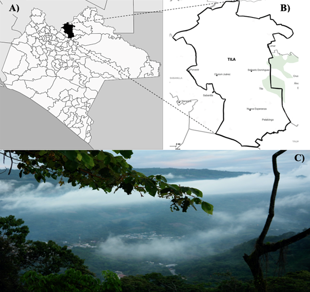 
						A) State of Chiapas indicating the location of Tila B) Map of Tila municipality. C) The town of Tila taken from nearby mountains and fog
					