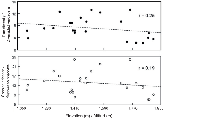Diversity and distribution patterns of ferns and lycophytes in a cloud ...