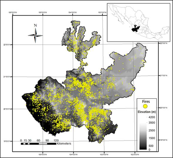 Bandwidth selection for kernel density estimation of forest fires